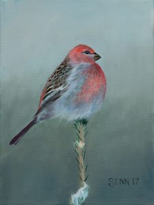 2018 Pine Grosbeak